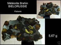 Pallasite Brahin.jpg